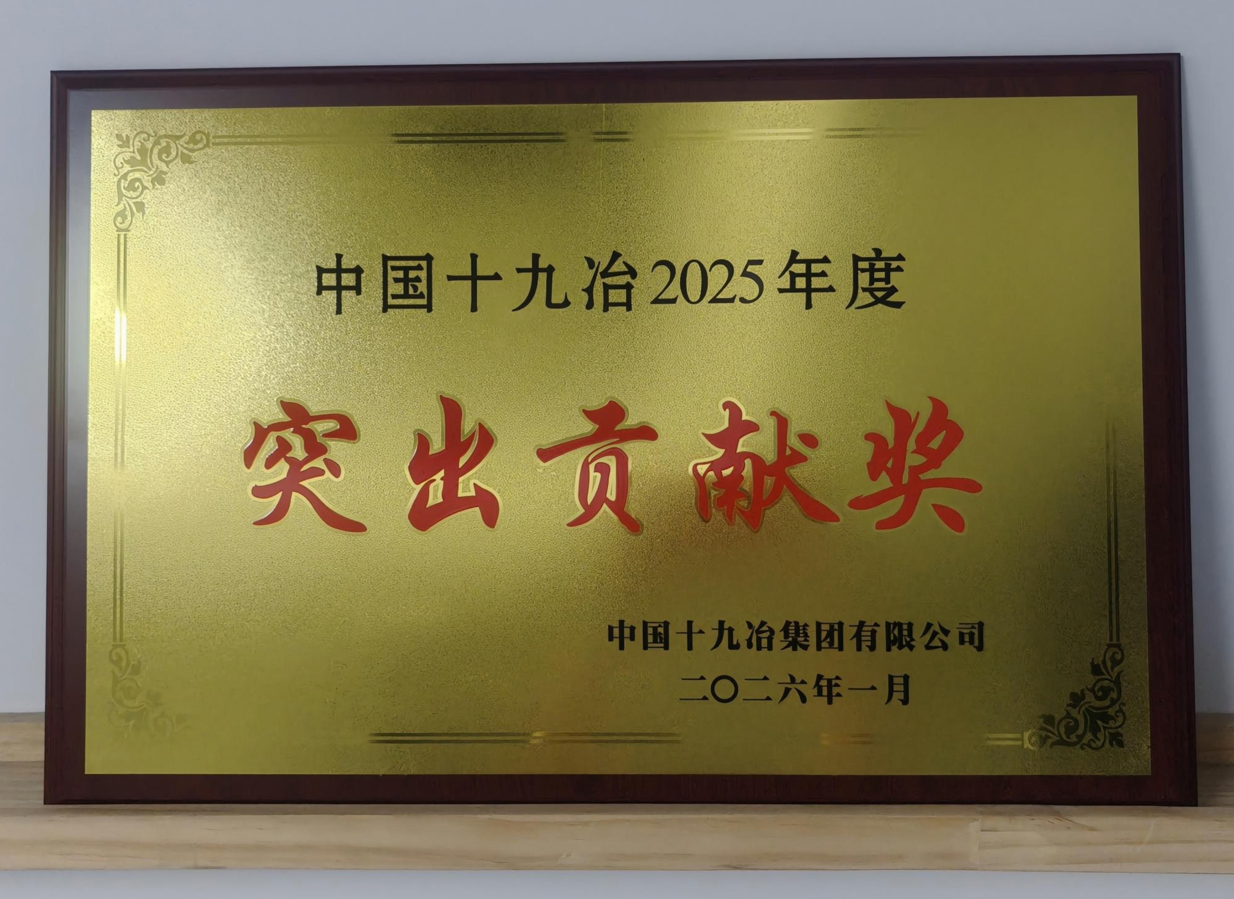 城建公司获评中国十九冶2025年度突出贡献奖.jpg