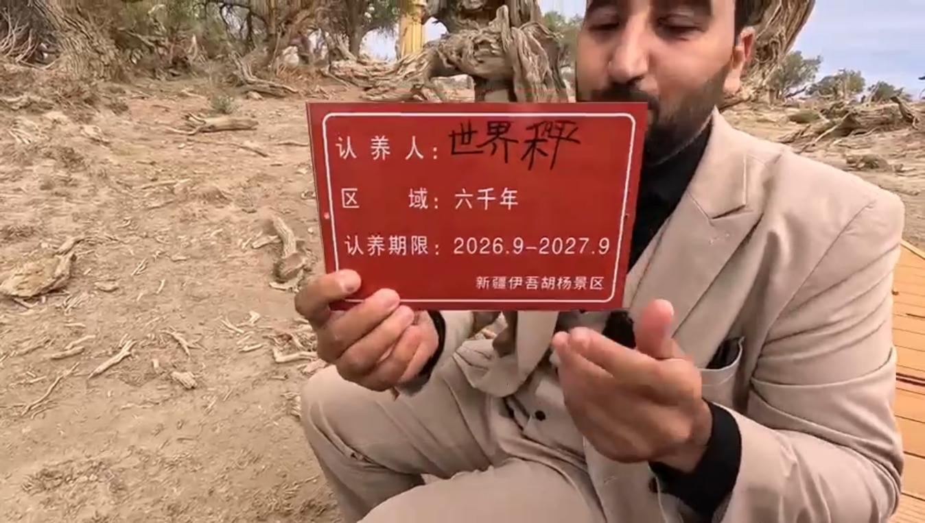 图片5.jpg